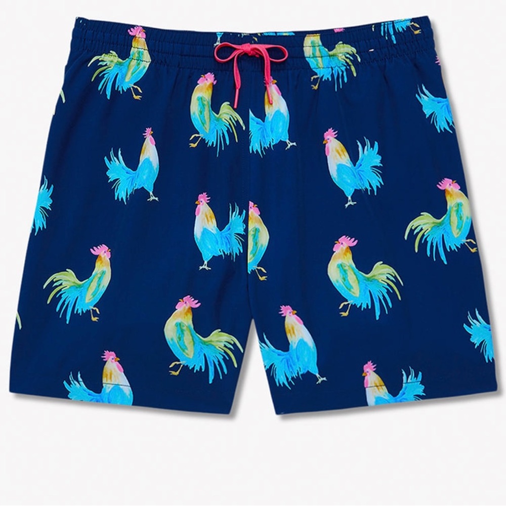 Chubbies swim trunks
